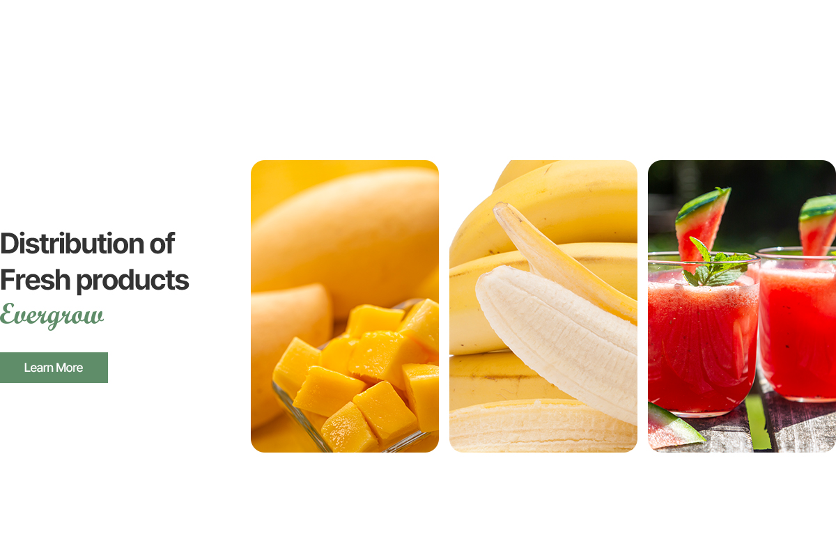 (주)에버그로_중단